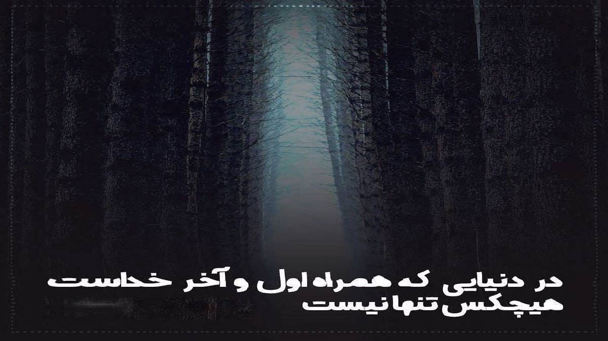 شایع حاجی همه درگیر شرمندگیشونن